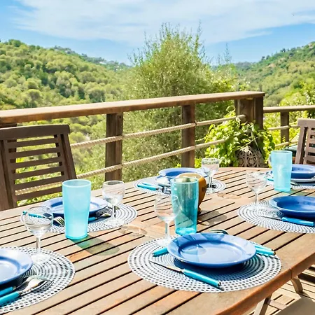 Provencal Piscine Et * Colomars